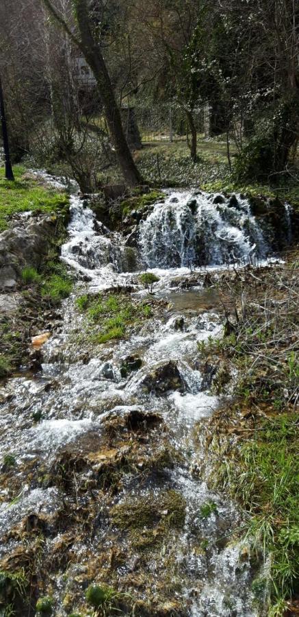 Vila Camelia Golubac Luaran gambar