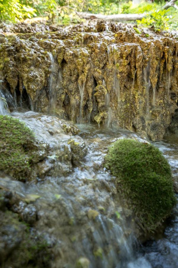 Vila Camelia Golubac Luaran gambar